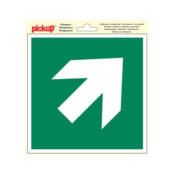 Sticker escape route arrow diagonal - 200x200 mm.