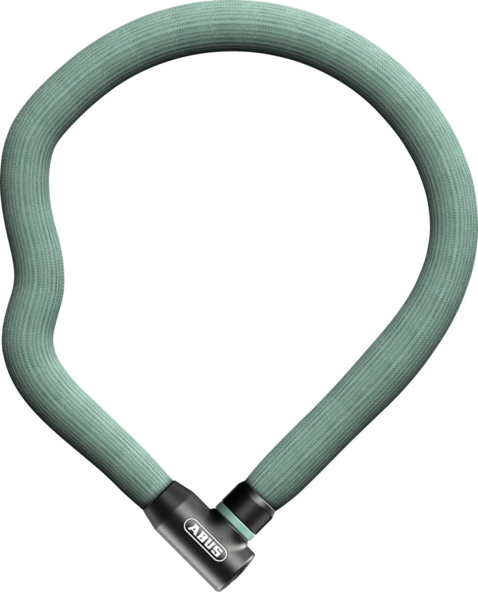 Cadeado de corrente Abus cadeado de ganso 4204k 110 hortelã