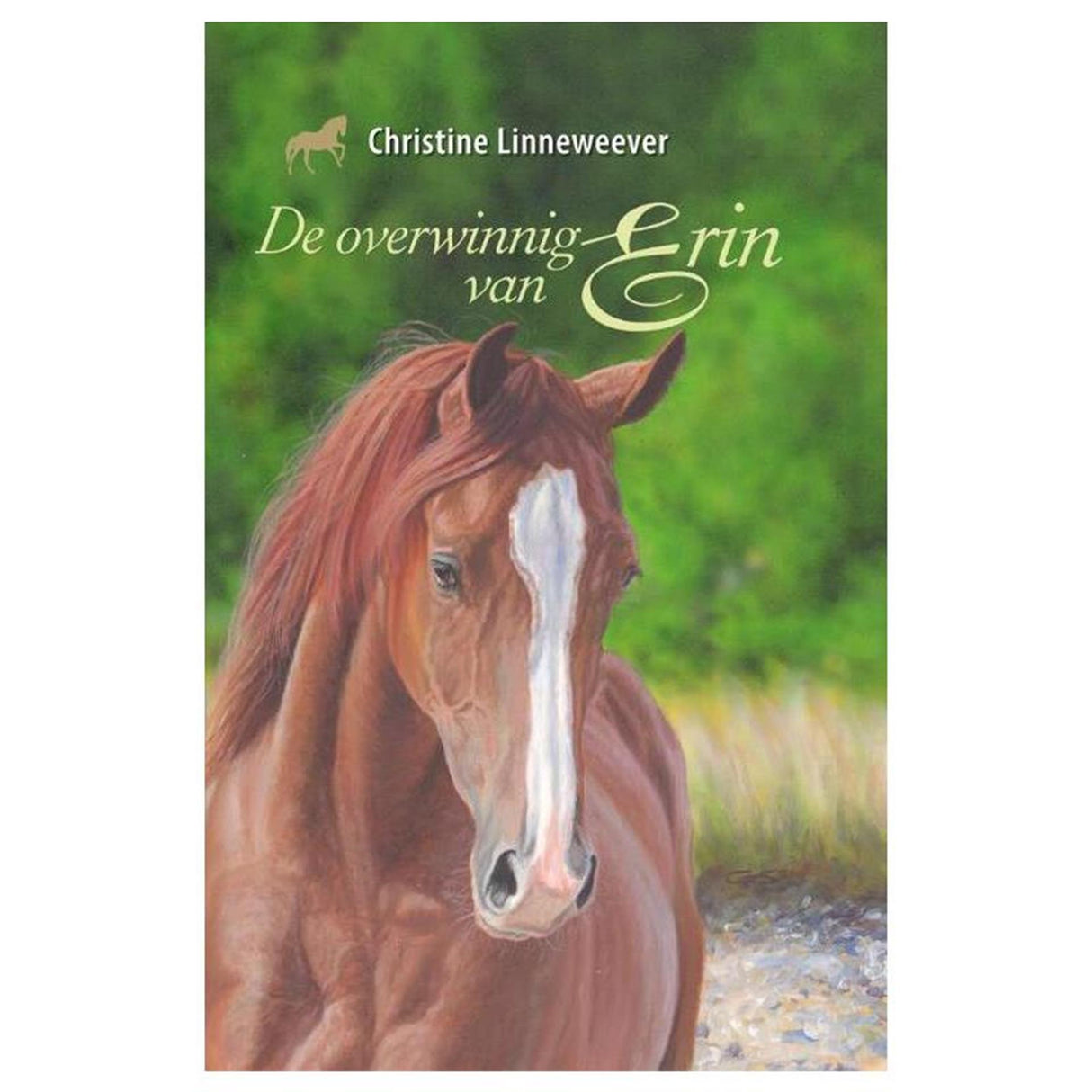 Kluitman Golden Horses Publisher: Der Sieg von Erin