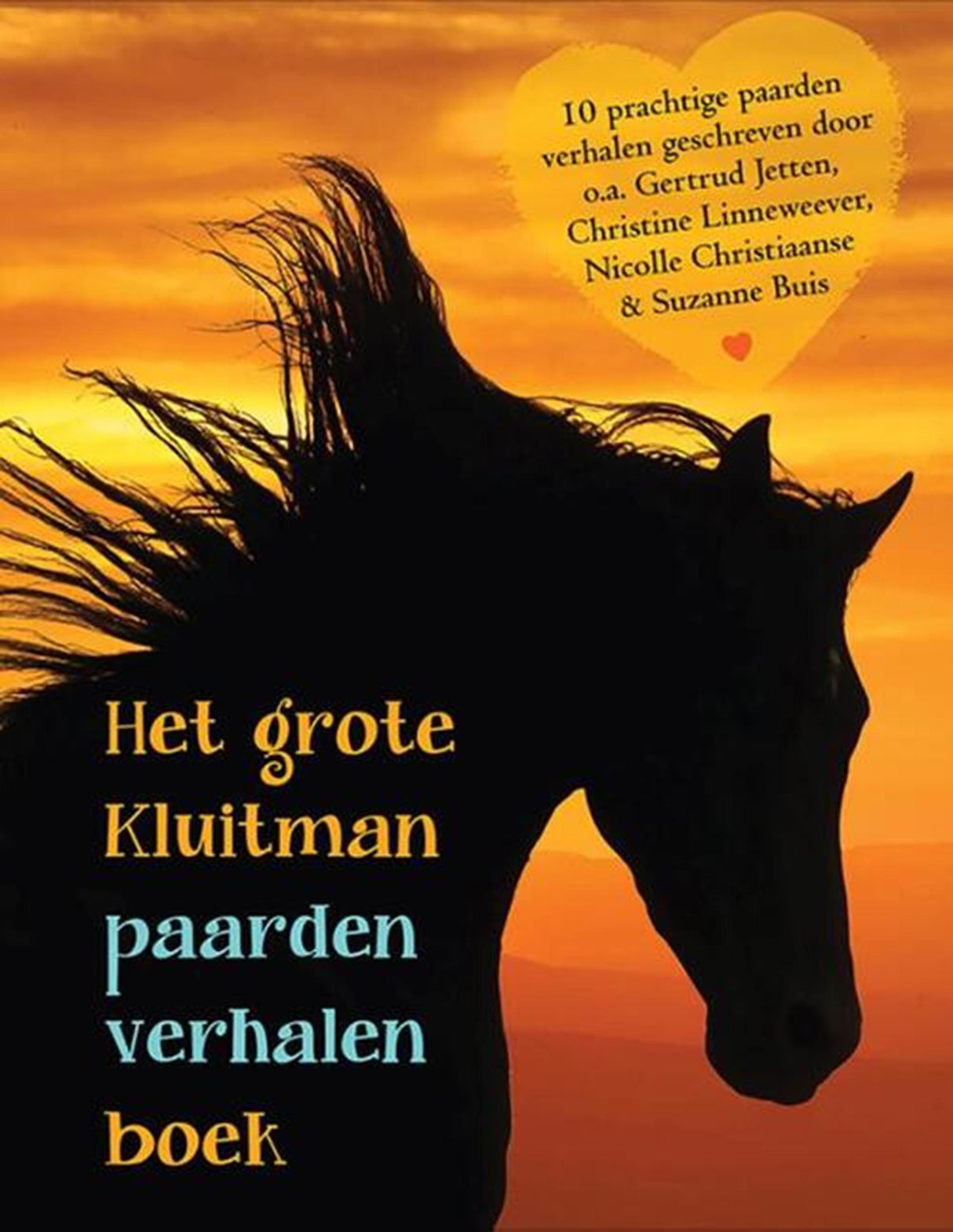 Kluitman paardenverhalen boek