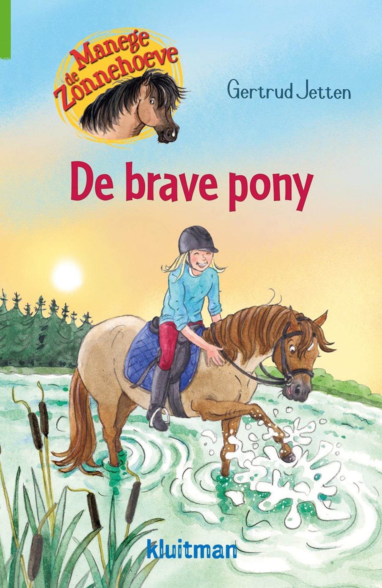 Editore Kluitman Manege De Zonnehoeve. il buon pony