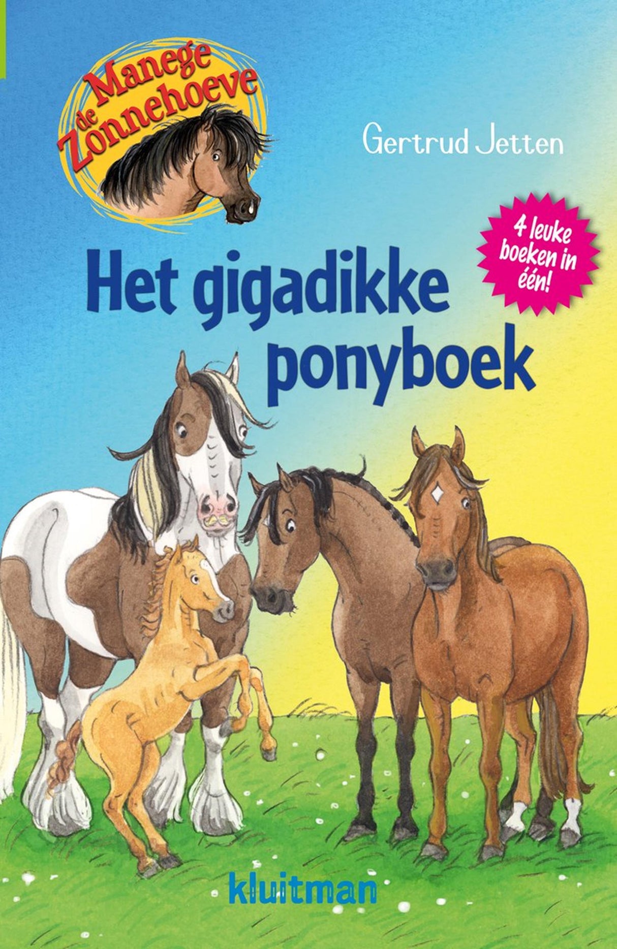 Kluitman het gigadikke ponyboek