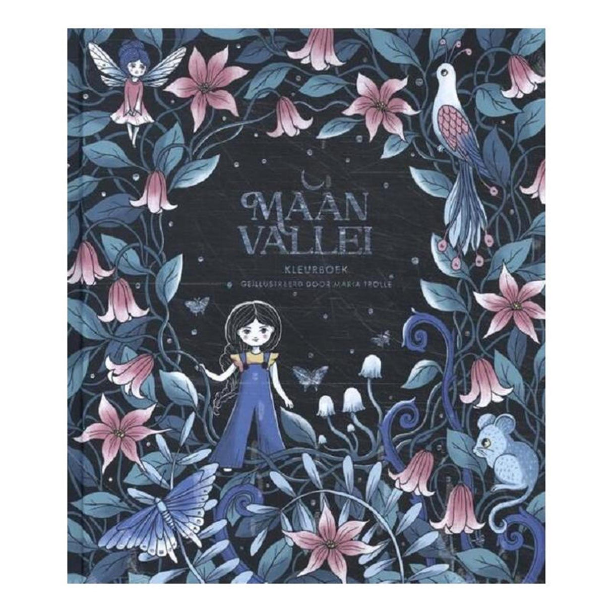 Kluitman maanvallei kleurboek 88 blz