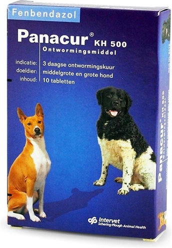 Panacur hundekat