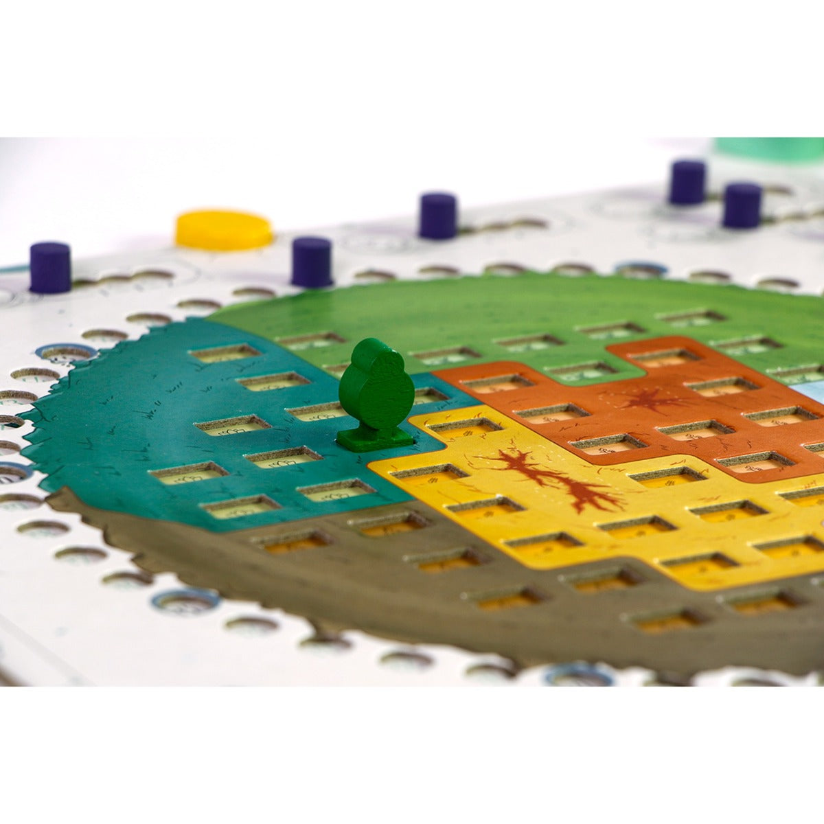 999 Games Evergreen Board Game