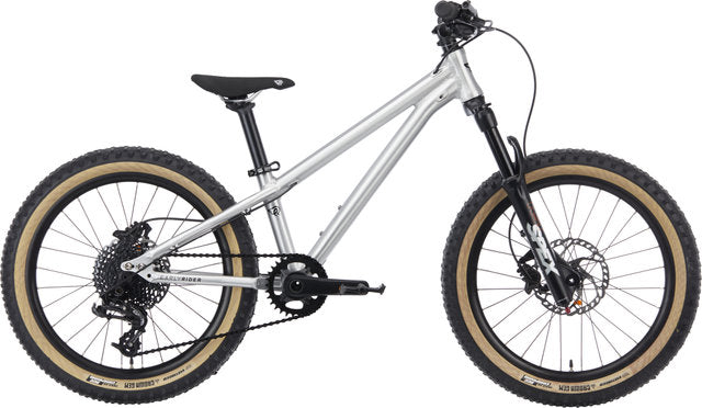 Early rider hellion 20 kids bike