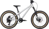 Early rider hellion 20 kids bike