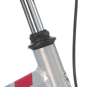 Descriptive image text