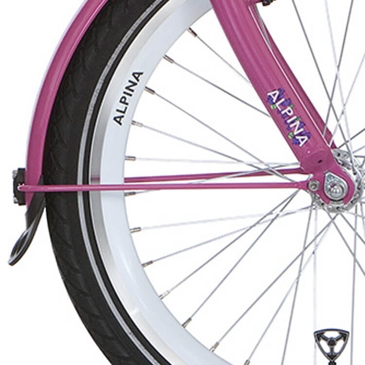 Alpina Fortboard rod set 16 GP Candy Pink