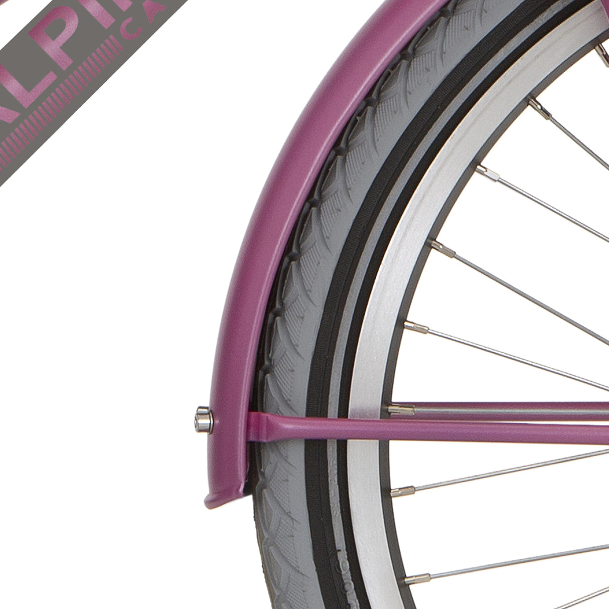 Conjunto de Alpina Fortboard 22 Cargo Fuchsia Pink Matt