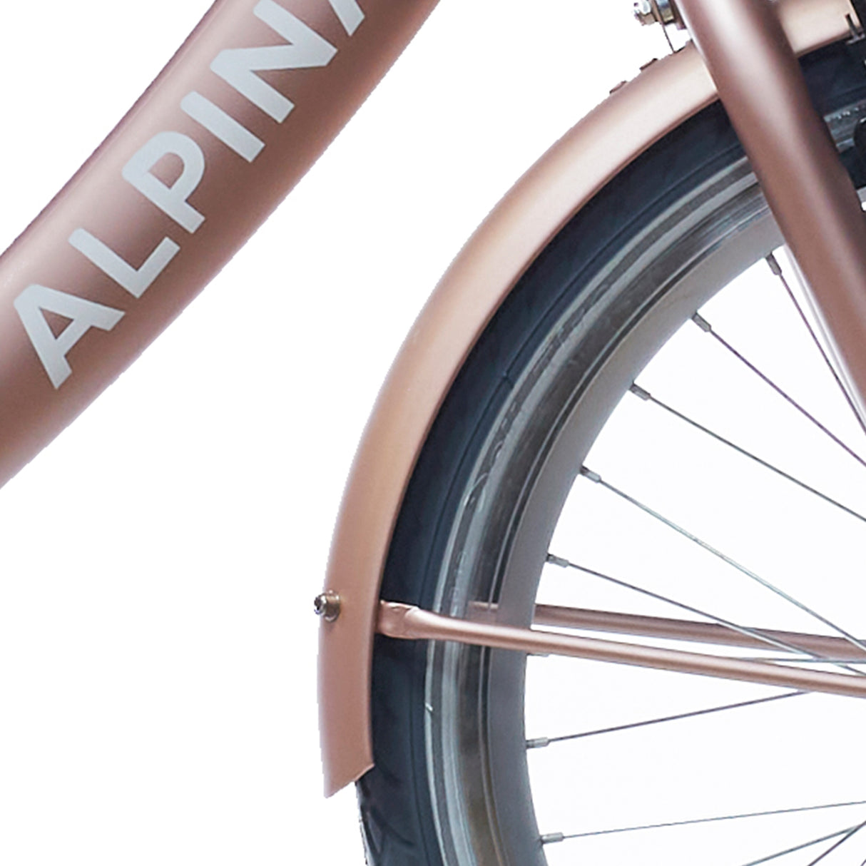 Alpina Fortboard Set + Rang 22 Clubb Rose Gold Matt