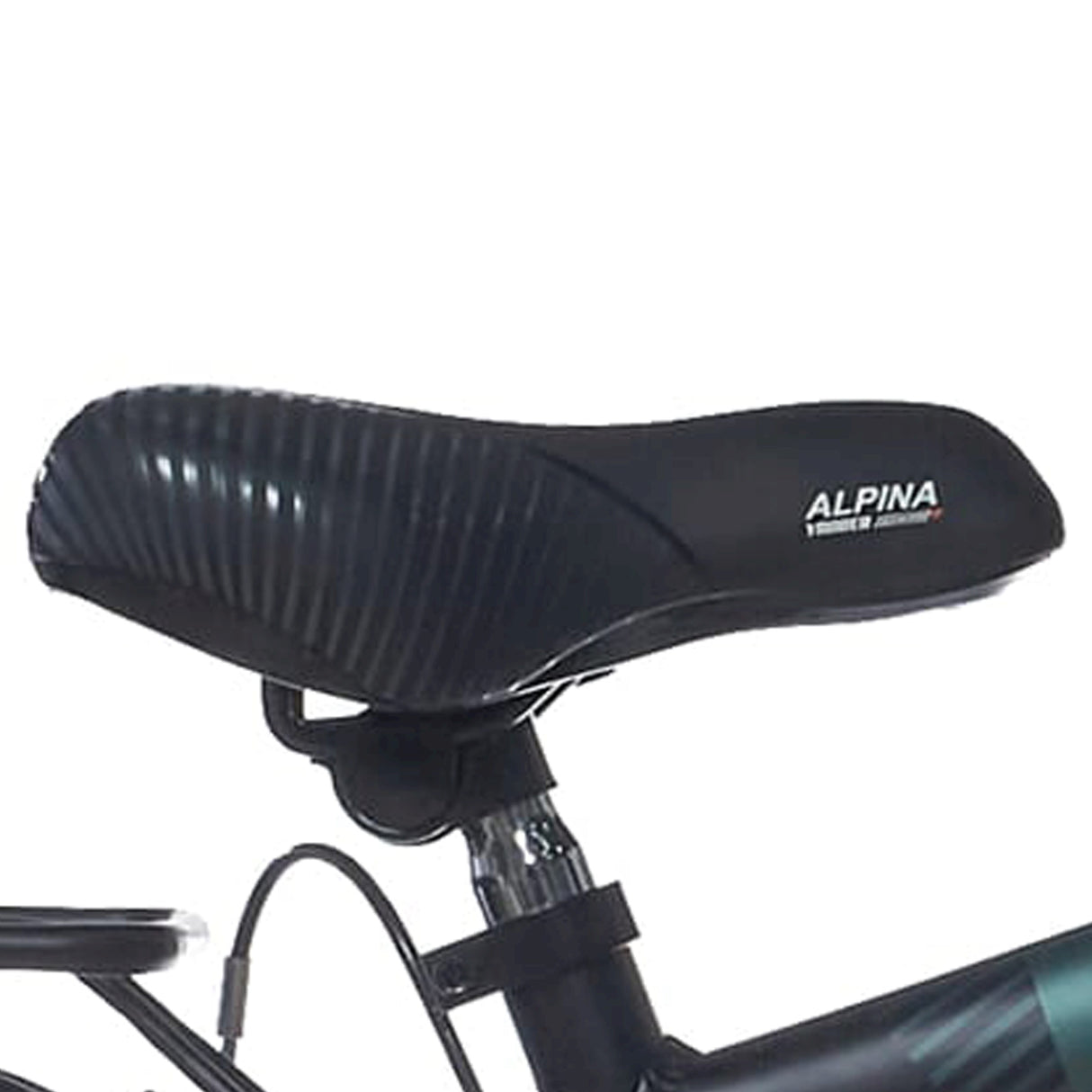 Alpina Zadel 16-18 trial