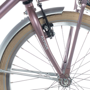 Descriptive image text