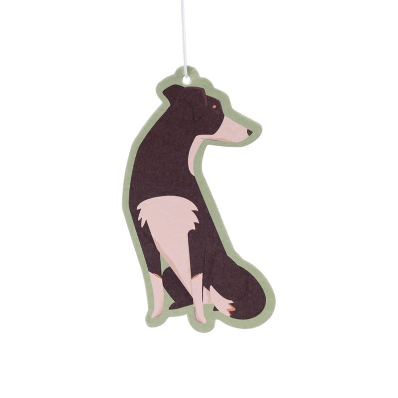 Cherry blaks Hond Air Friisher
