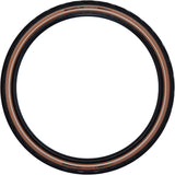 Schwalbe Folding Band Marathon Effizienz EVO 55-622 +R SW TR TR