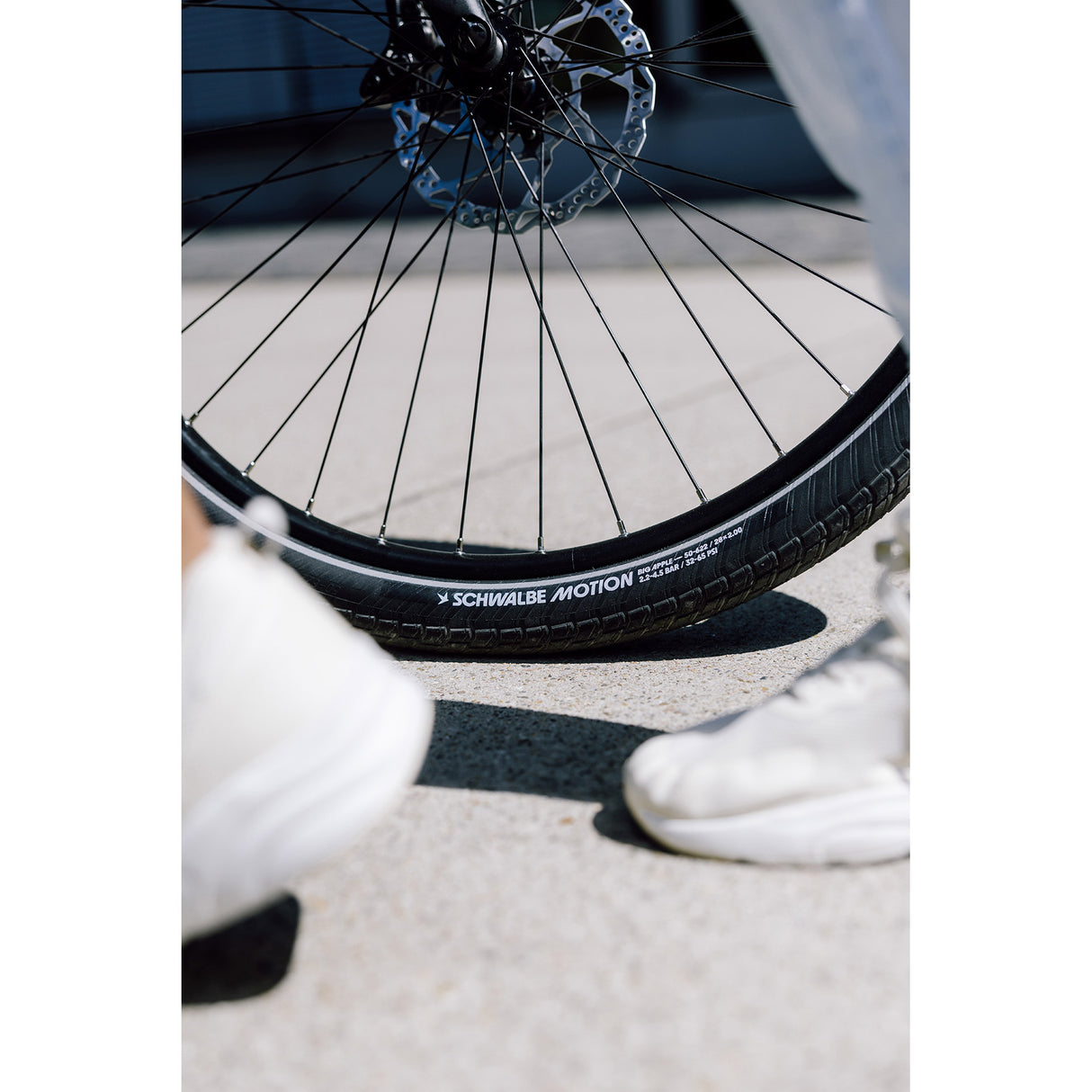 Schwalbe clincher motion big apple 50-622 +r sort