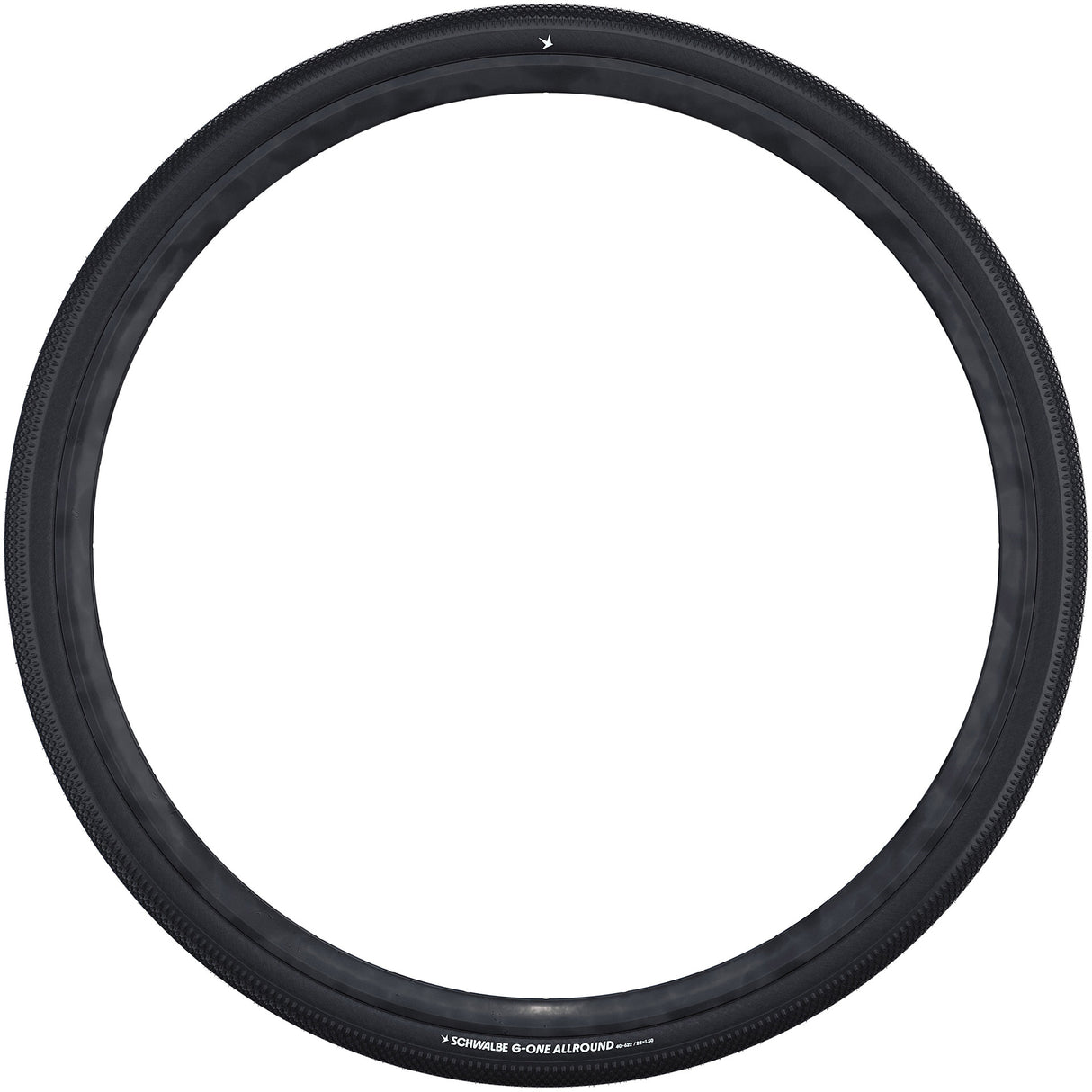 Schwalbe'a