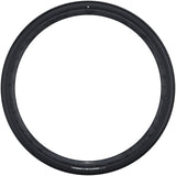 Schwalbe'a