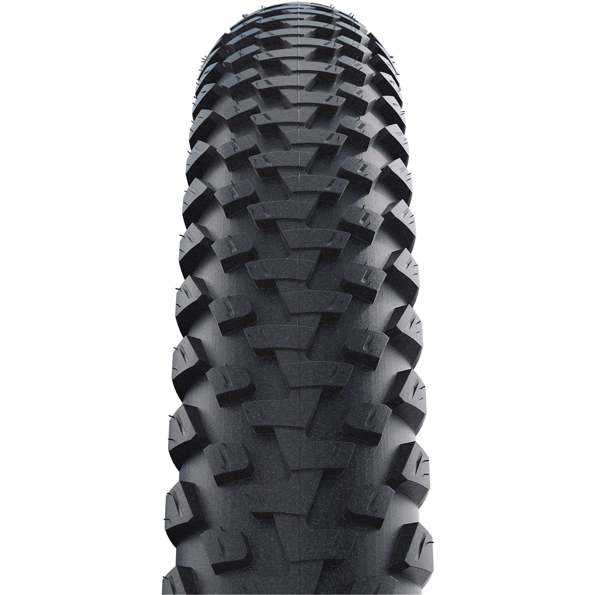 Schwalbe'a
