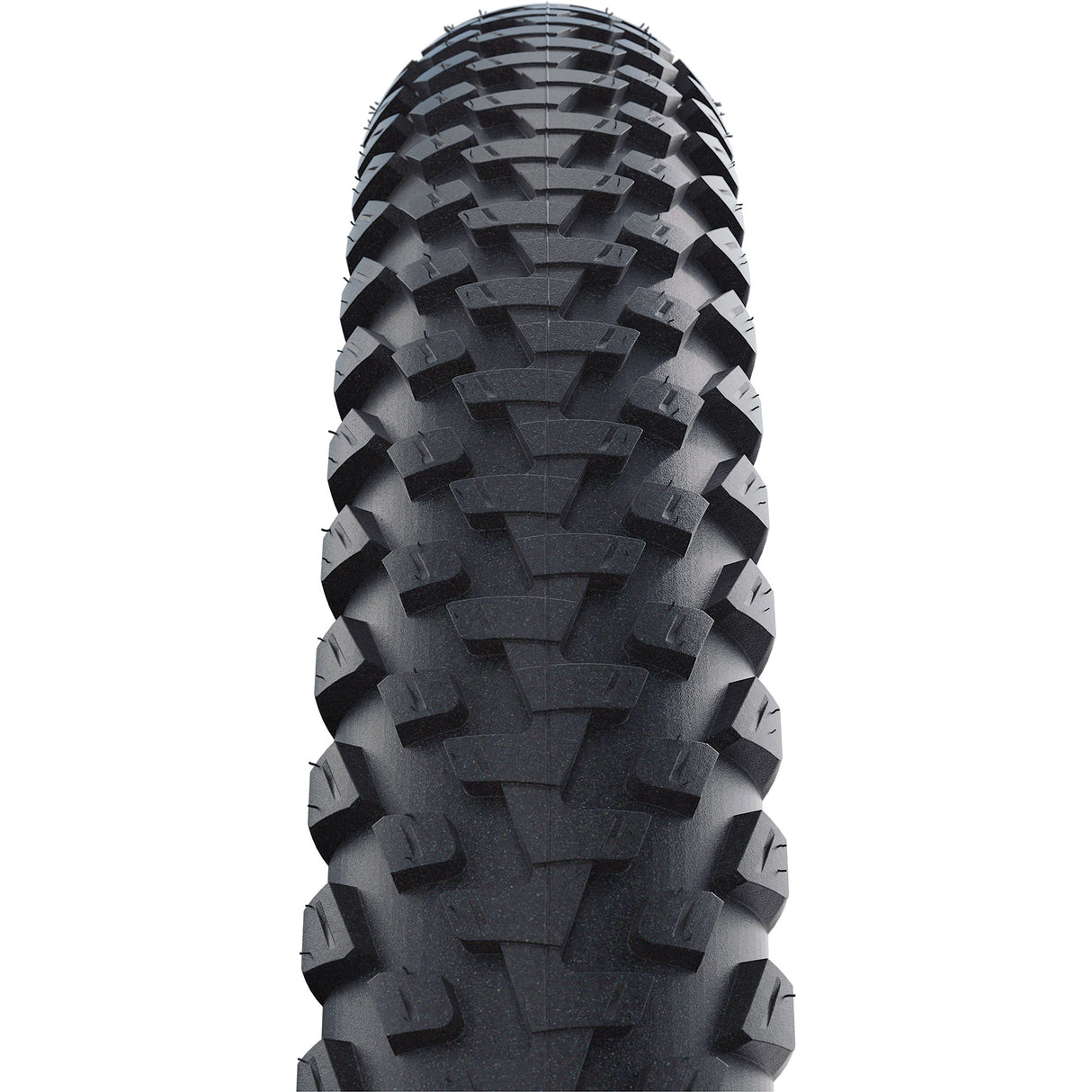 Schwalbe