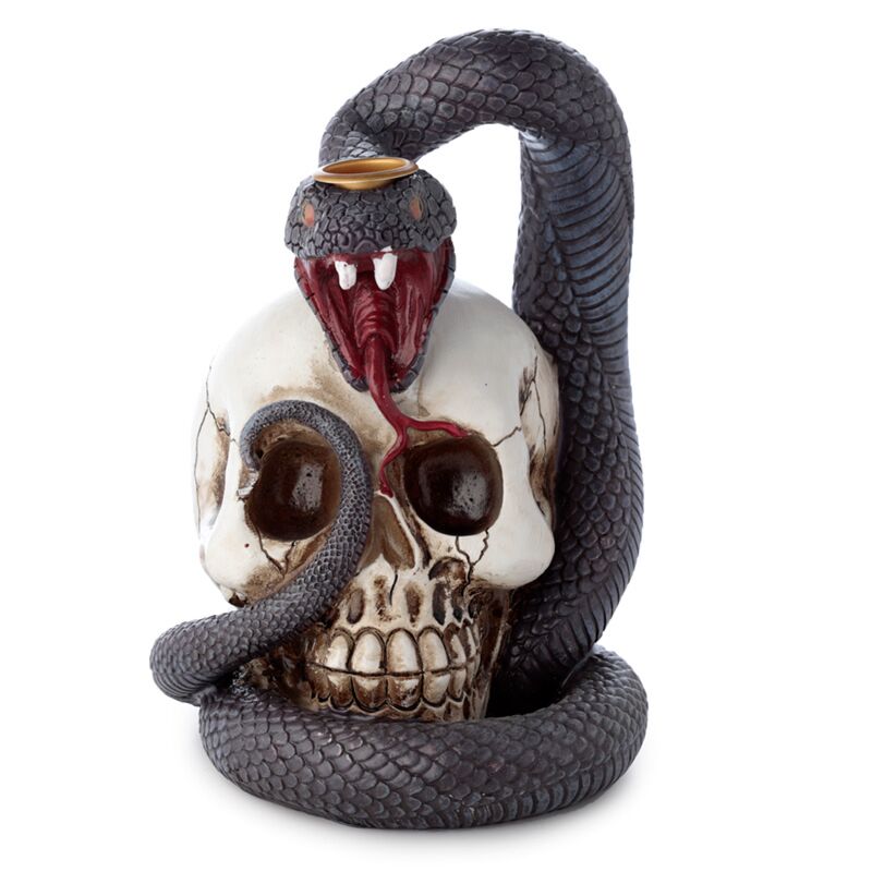 Snake and skull backflow incense holder