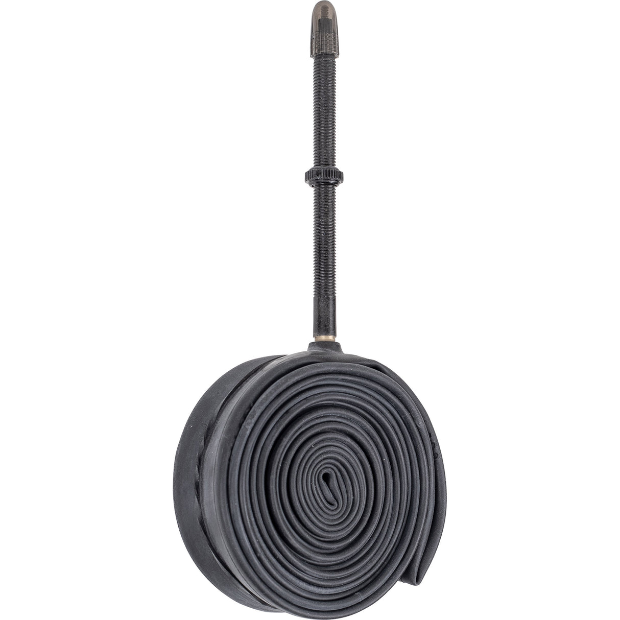 Schwalbe'a