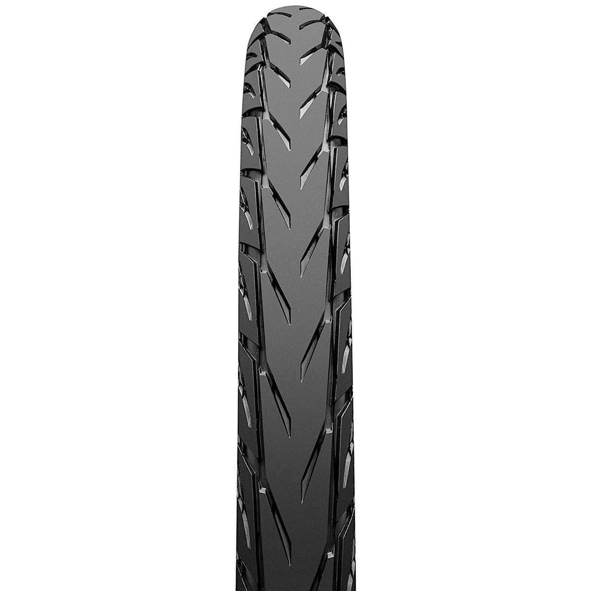 Continental Contact Plus 28x1 1 4 Band - Black