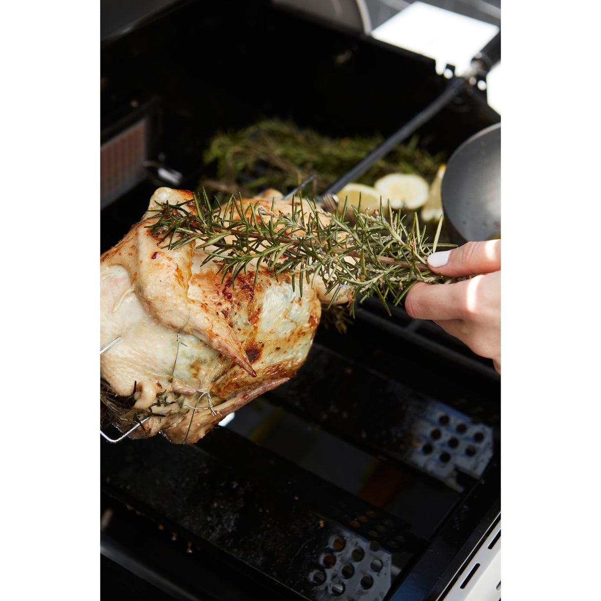 Barbecook Universal Turning Spit med Motor för kolhalt