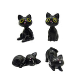 Lucky de zwarte kat charm in doosje