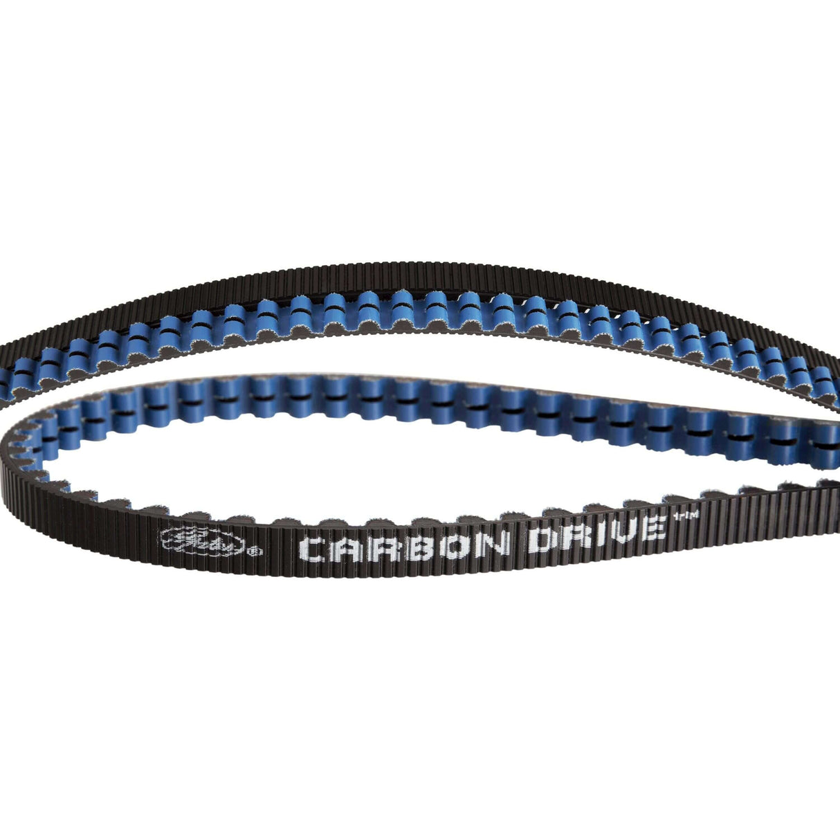 Porte cdx riem carbon drev 125 tænder sort blå