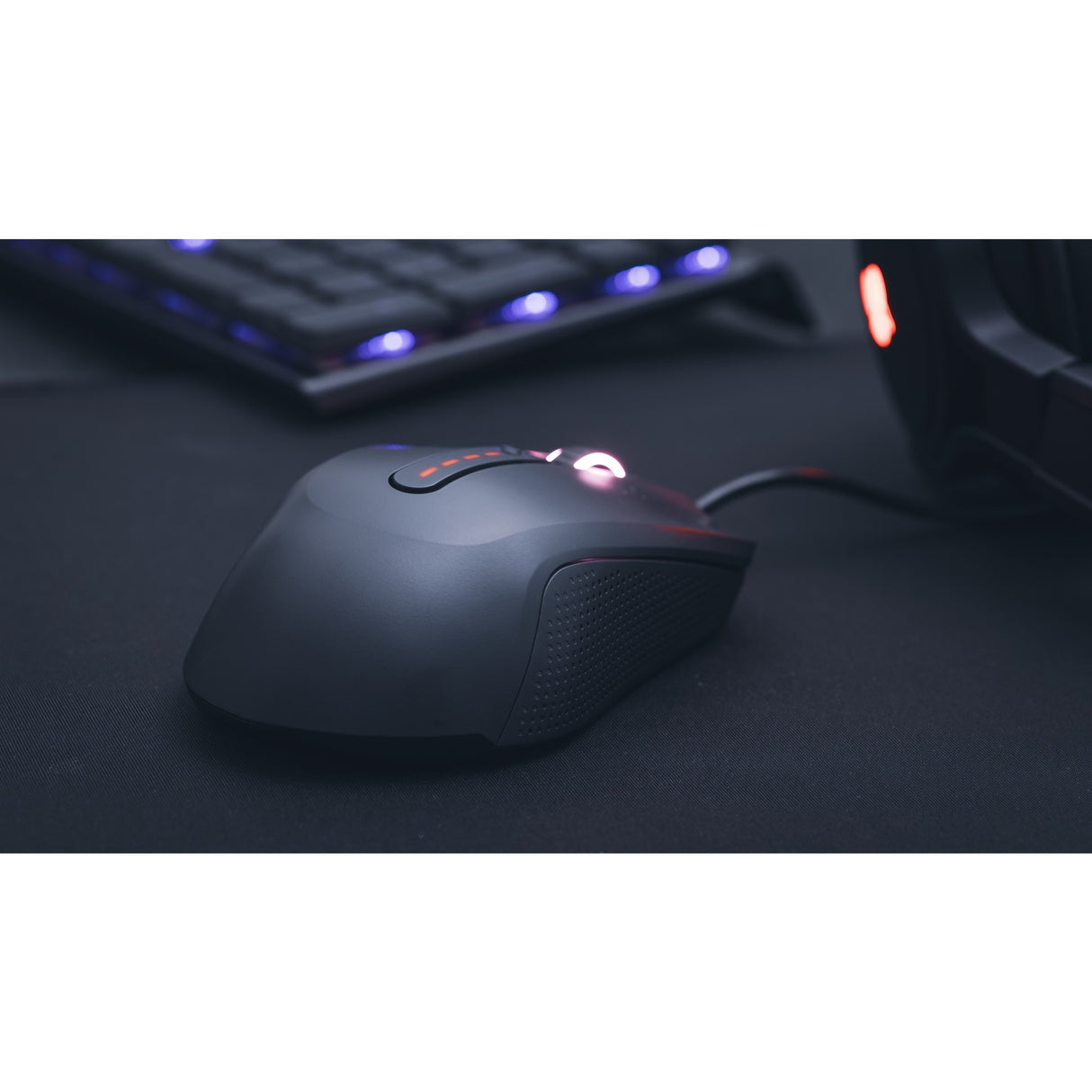 Cherry Cherry MC 2.1