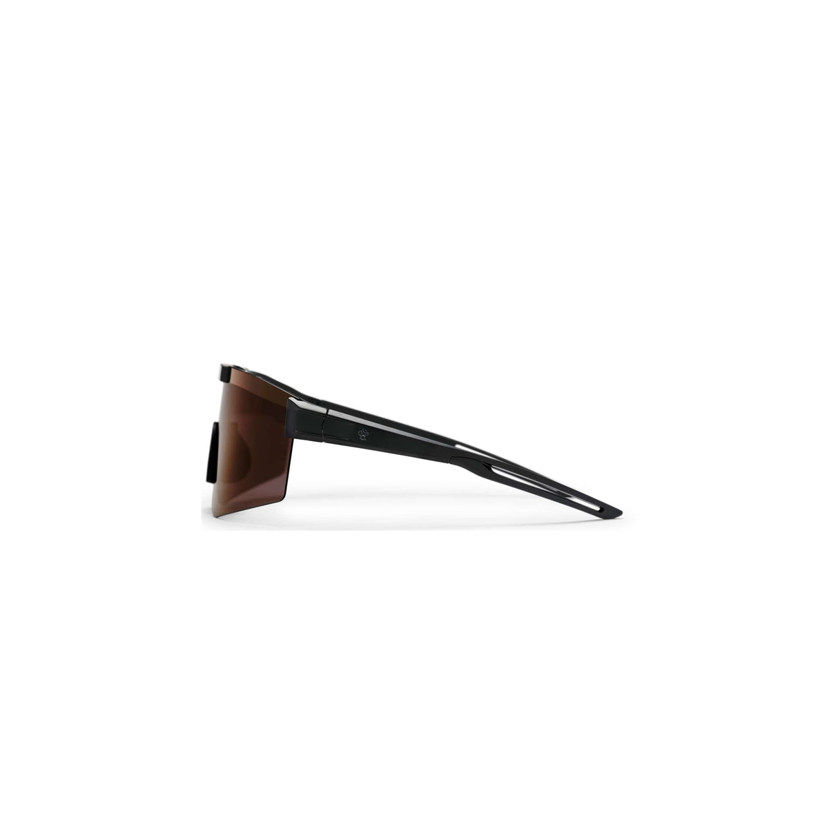 CHPO glasses Luca Black Purple