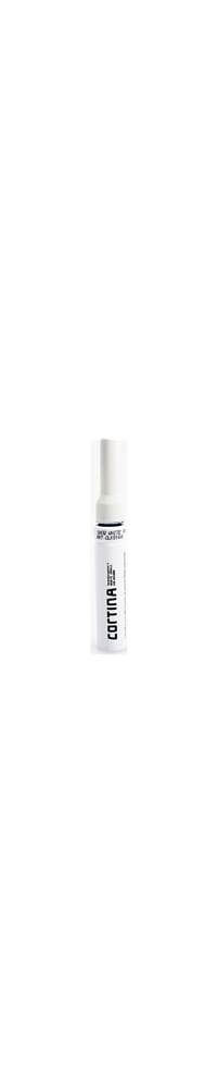 Cortina touch-up paint snow white pgsw 0006 matte