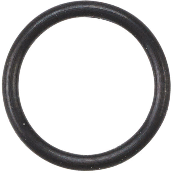 Eldedes O-RING SRAM BANJO 2019110 (20X)