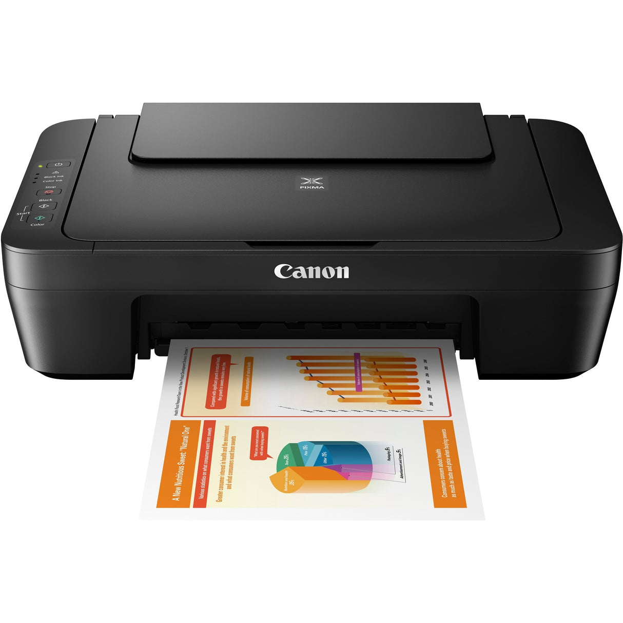 Canon Canon Pixma Mg2550s