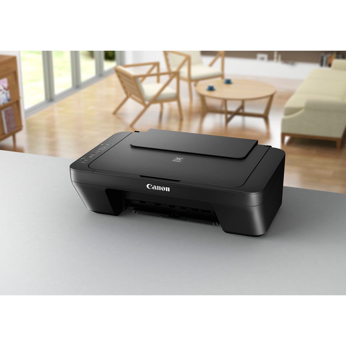 Canon Canon Pixma Mg2550s