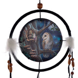 Lisa parker fairy tales owl fairy dream catcher 16cm