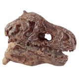 Rawr Dinosaurusus Skull Fossil Excavation Set