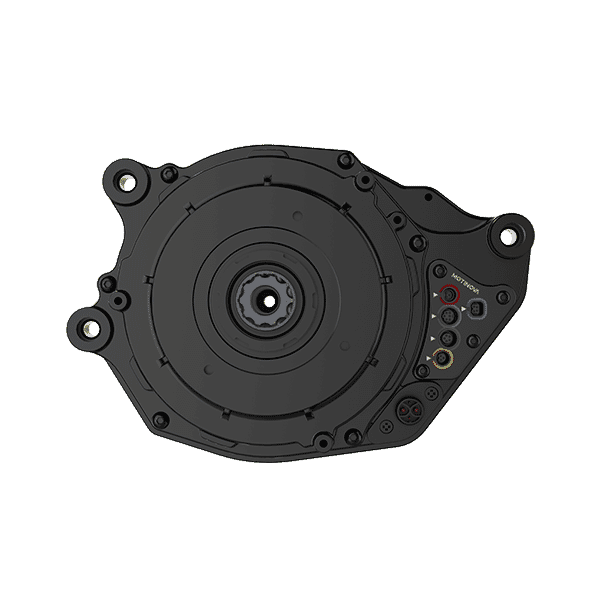 Motinova c-grade pegasi motor 36v 250w 80nm cus 125kb-light 6v