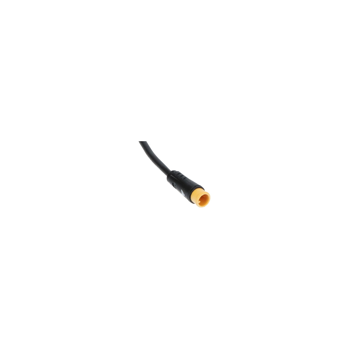 Motinova kabel verlichting cus volans pegasi