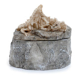 Shadows of Darkness Sleeping Bones Drakenkelet Storage box