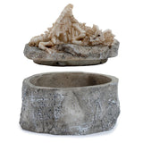 Shadows of Darkness Sleeping Bones Drakenkelet Storage box