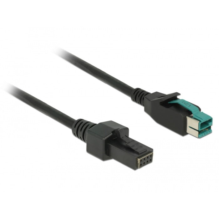 Delock PowerEdusb Cable Masculino 12 V> 2 x 4 pinos macho para P