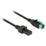 Delock PowerEdusb Cable Masculino 12 V> 2 x 4 pinos macho para P