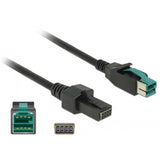 Delock PowerEdusb Cable Masculino 12 V> 2 x 4 pinos macho para P