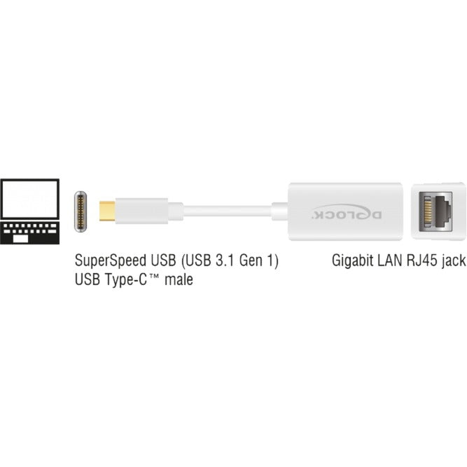 Delock SuperSpeed ​​USB-C (USB 3.1 Gen 1) Moški> Gigabit LA