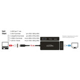 Delock USB-C> VGA HDMI DVI DisplayPort