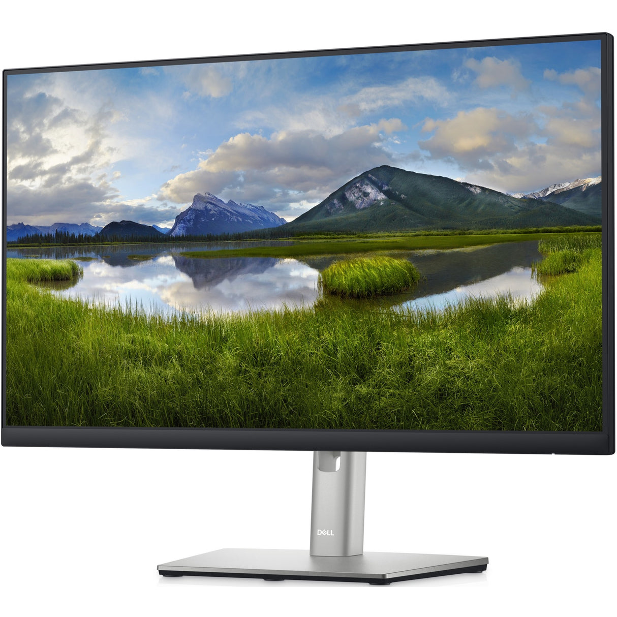 Dell P2422He