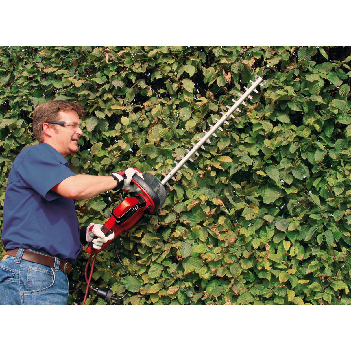 Einhell Einhell Electric Hedge Trimmer Geh 6560