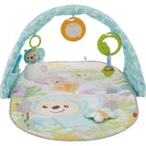 Fisher-Price Butterfly Dreams Speelgym med musik